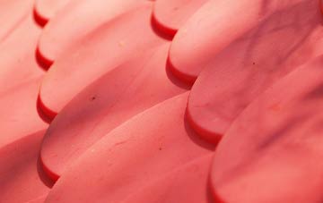 Warmlake plastic roof costs